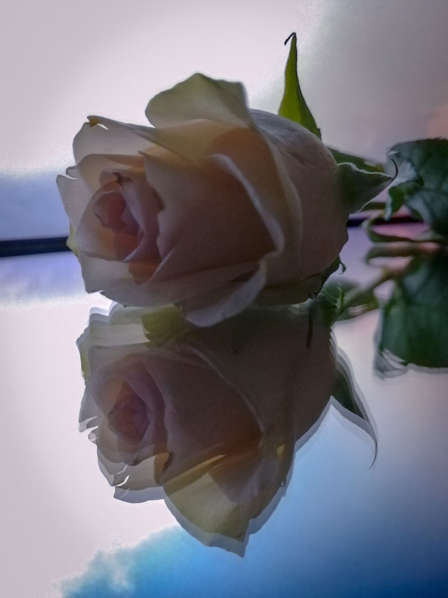 20c3edb7e87fd7cc5f68c001ec5ccdbf.jpg