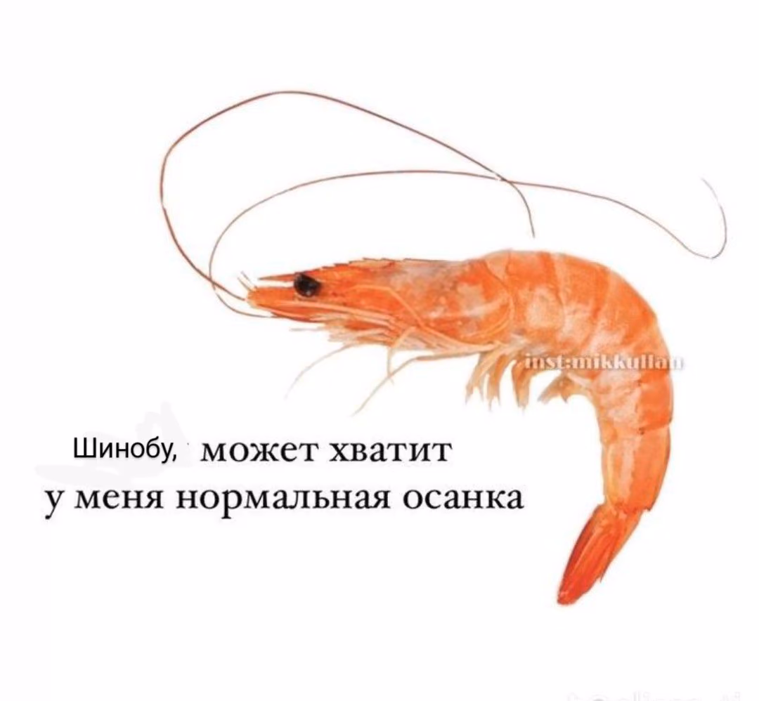 20c7aaace2cf0610ea056c4d74dd6cd2.jpg