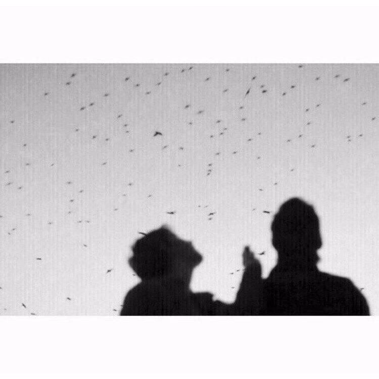 20e87dab4cf5b9da1faca0b26e250453.jpg