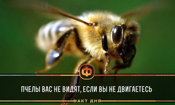210be25c6d3e743d07b648a17cf4913f.jpg