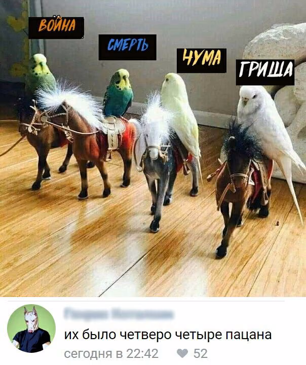 21108f5bf21abd7529325077ba63bbf0.jpg