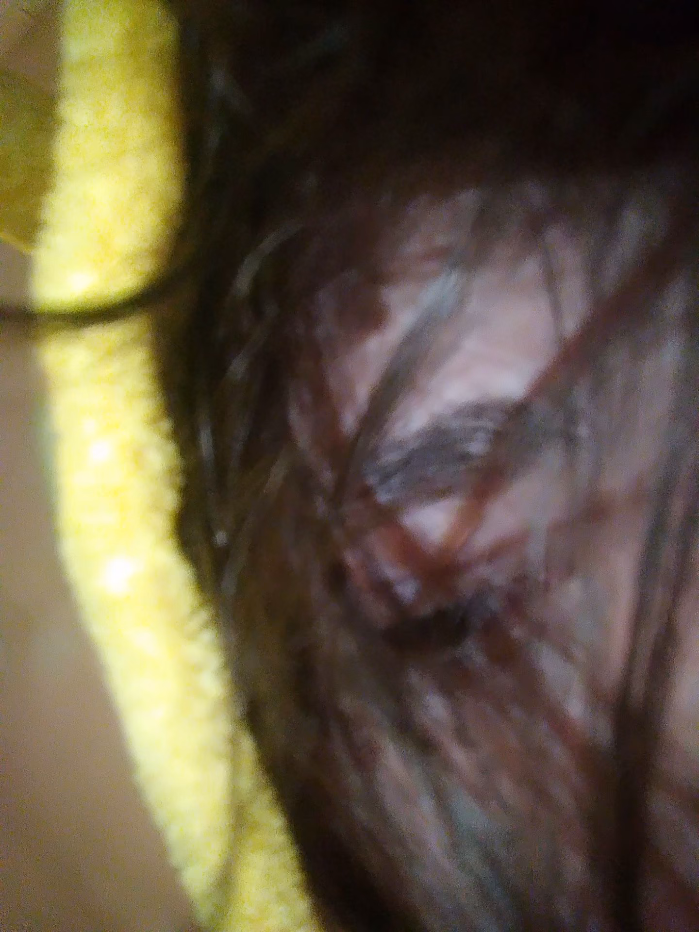2121504e8cbe6f1f0c15de2af38974ca.jpg