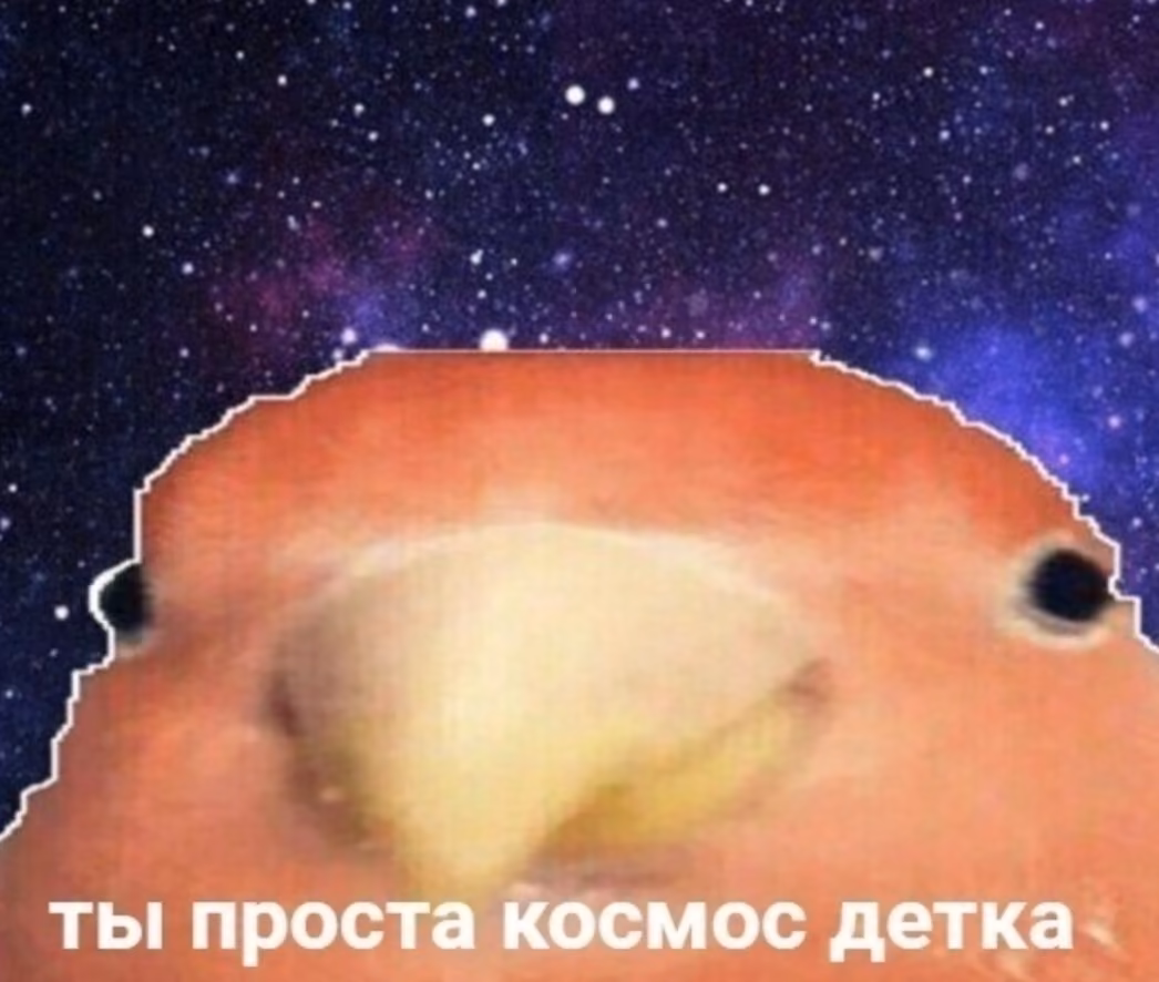 2125f69d30a71c6e46f6ef9b11dc3a10.jpg