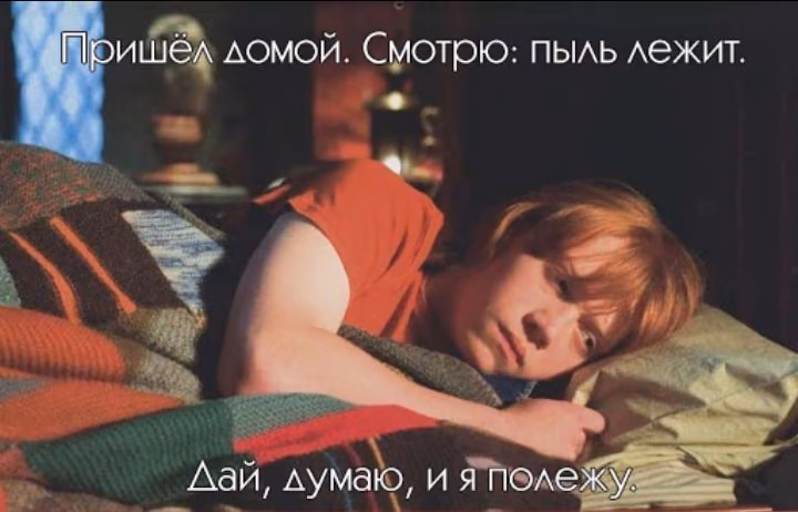 21488c7e168cdce581212dbe062e02af.avif