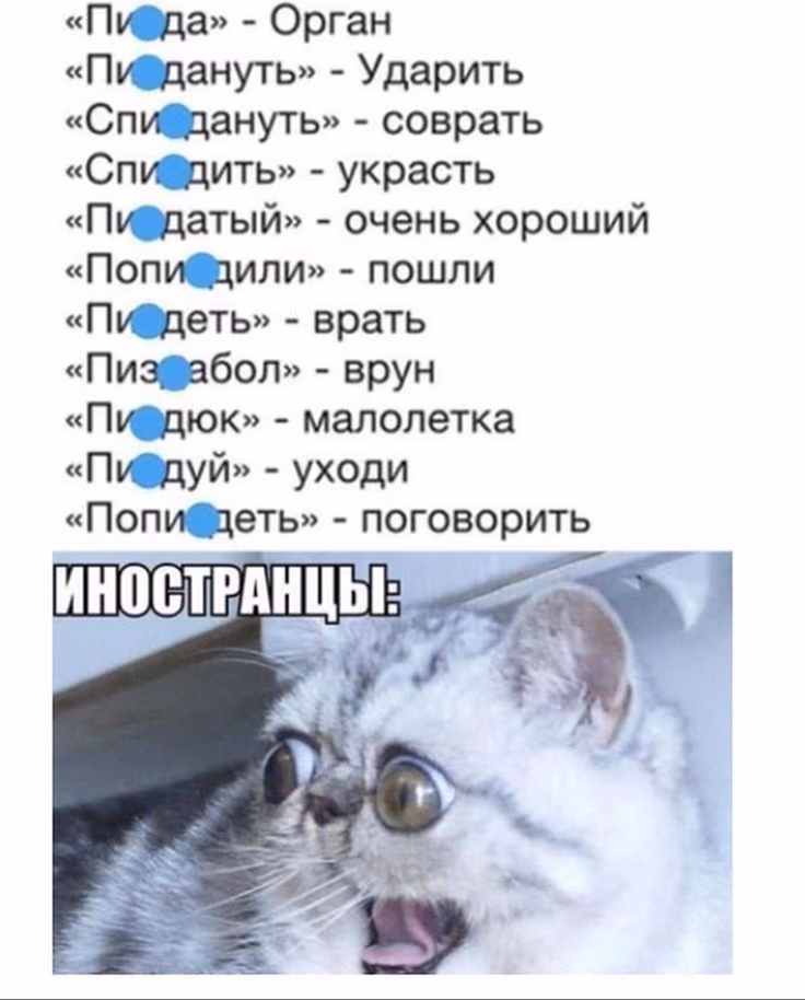2159d9de2cad2ff92d58441d395bb9fb.jpg