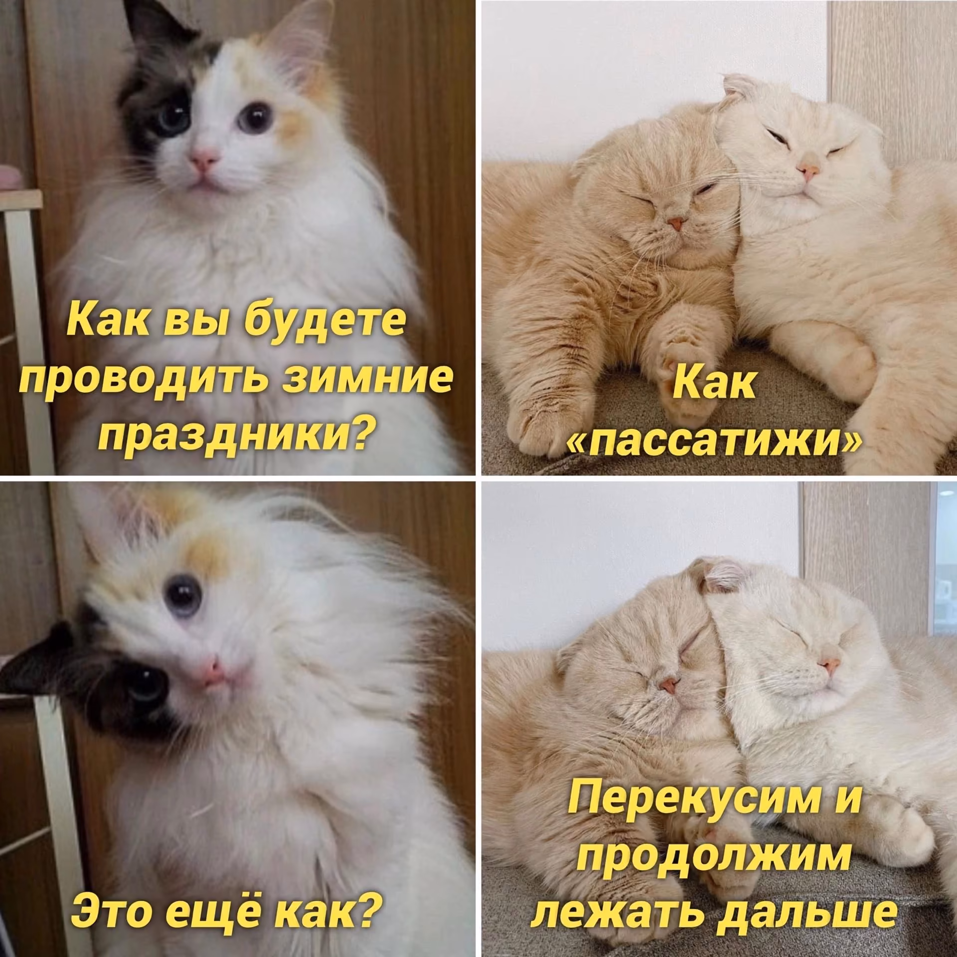 215bffd76f4479ed0ca1875d338e0292.avif