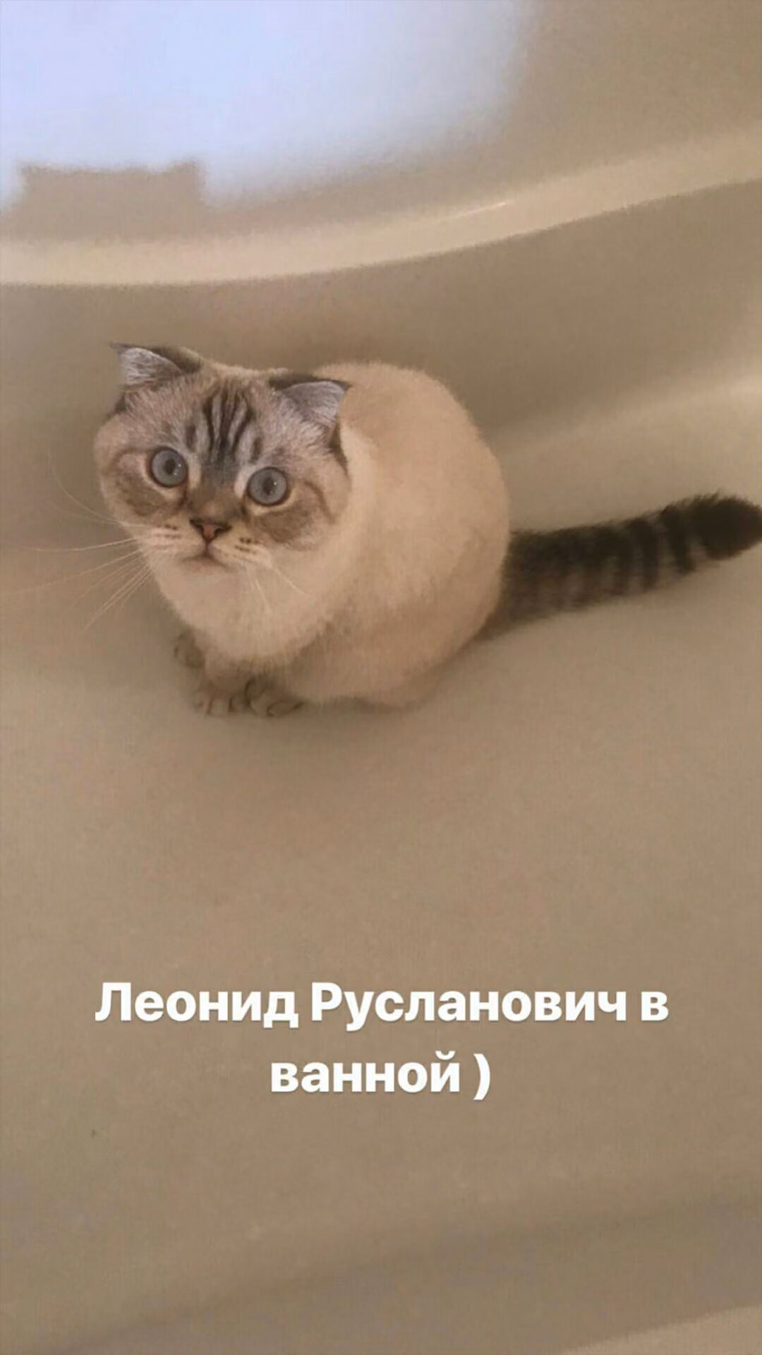 215dc2c0a52322eebbb3451e832c44fe.avif