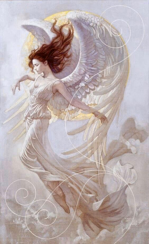 216bc31ea00f09c9ef8224422c5ef9d0.avif