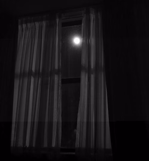 2175450616572dfc972fb54269f452e6.jpg