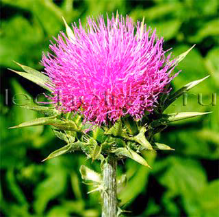 2195d63aa281ab539b7af1cad0090739.avif