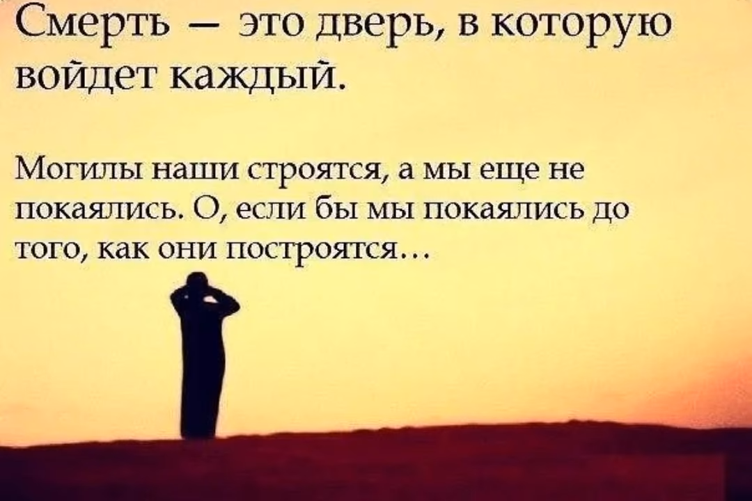 219aad665c93660599df73b8bd7de576.avif