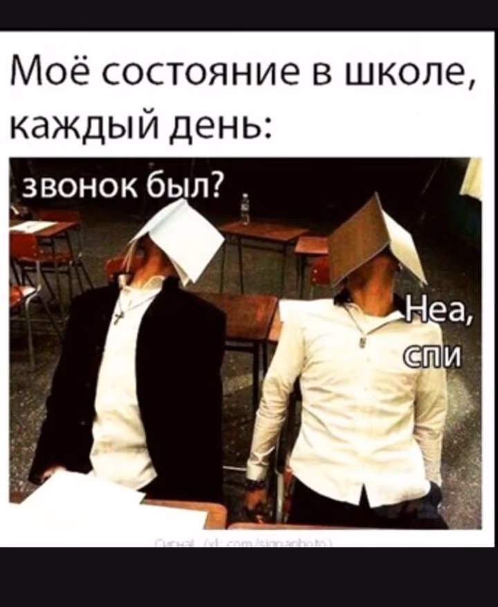 21b5d6a7c39352fa5c7de433a8a67ee8.jpg