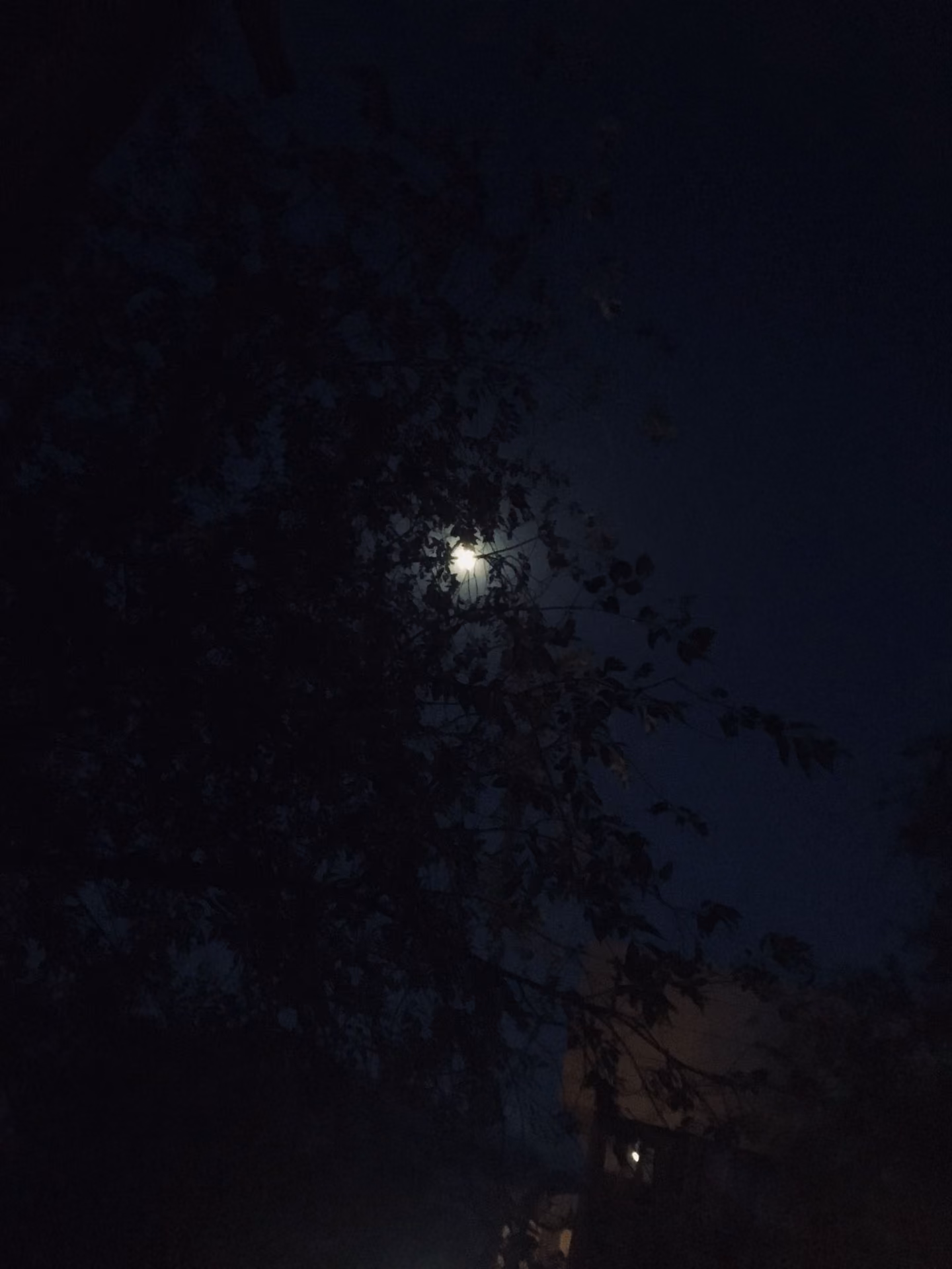 21d035864b37852b3a9a276b5c918be6.jpg