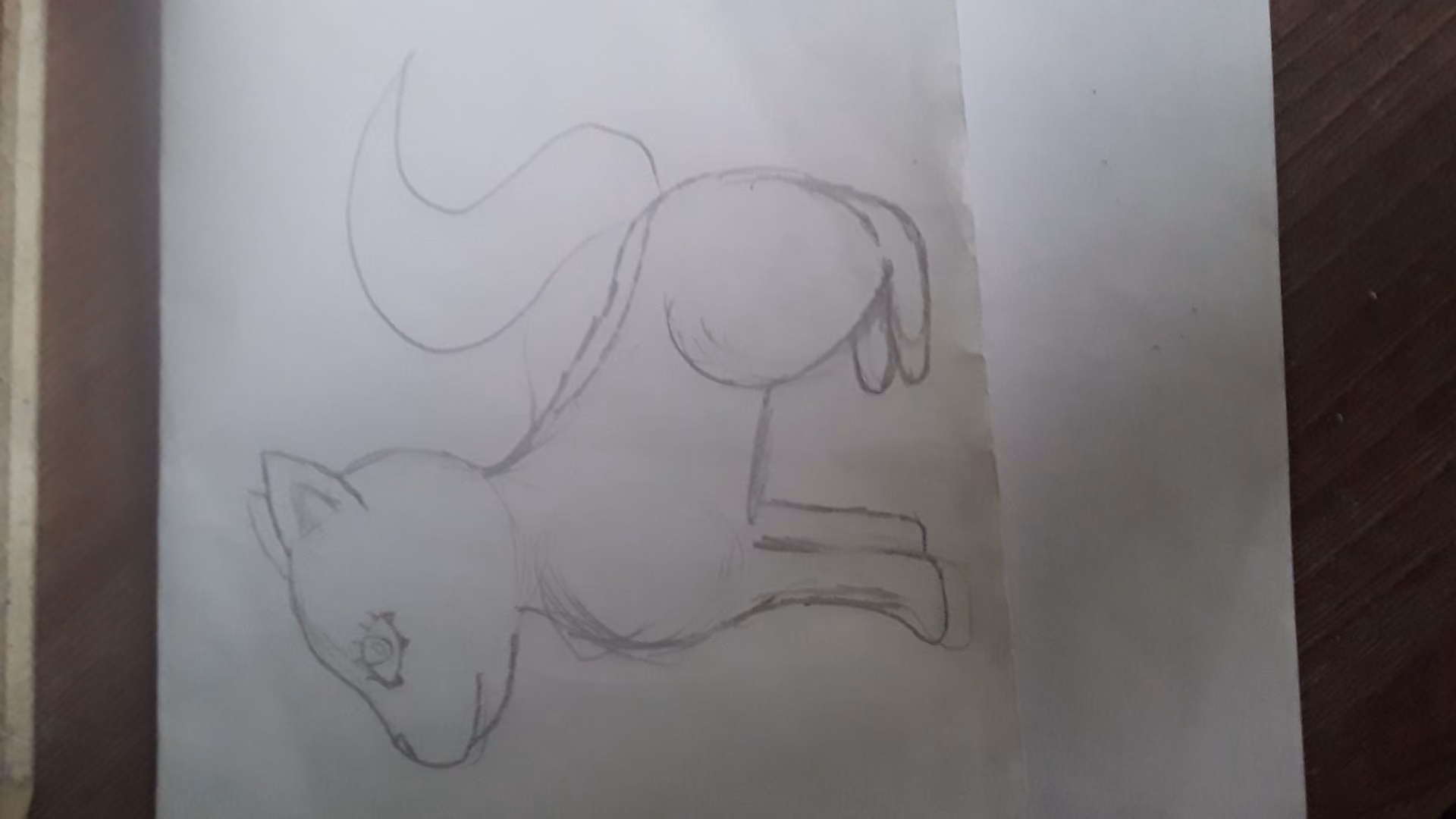 21d18f7b480bcf6e3f629649e1a6f84a.jpg