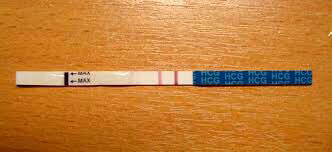 21e0b0a90a0f80524f031756bfe0fd8d.avif
