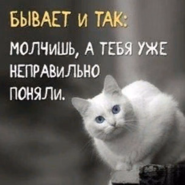 21e7e73af4f5f20e45e5020f45d3458f.jpg