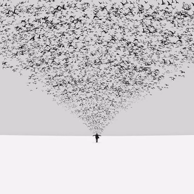 21f89e8eb8d3c1104e1e982874af6bbb.avif