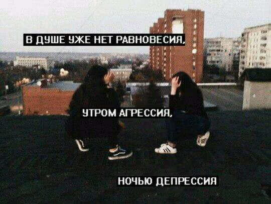 2201430c73220dd413964fdcf74d4fe2.avif