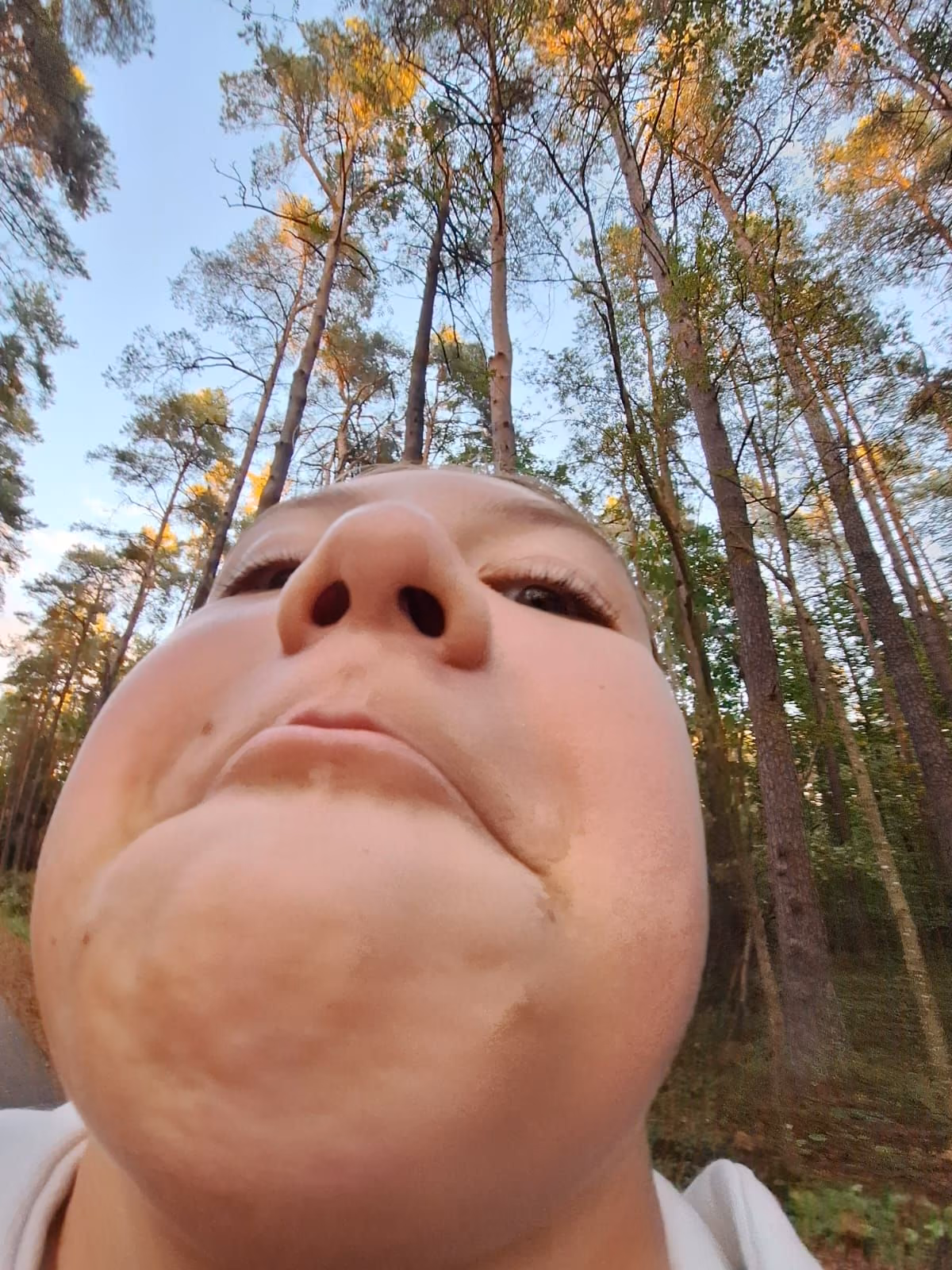 220df8c37a5756a6a141be511c92bdf8.jpg