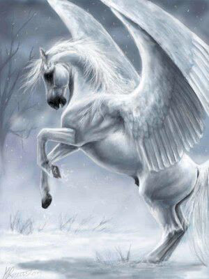 22284e00c1444db8ba6b881f99f60aed.avif