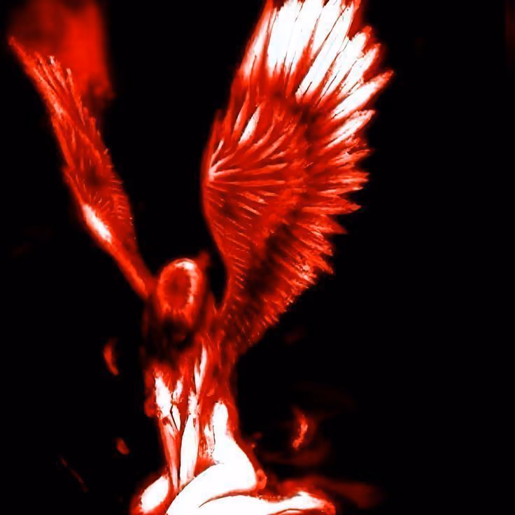 222ee29aef005ca794f028b5a9f57494.avif