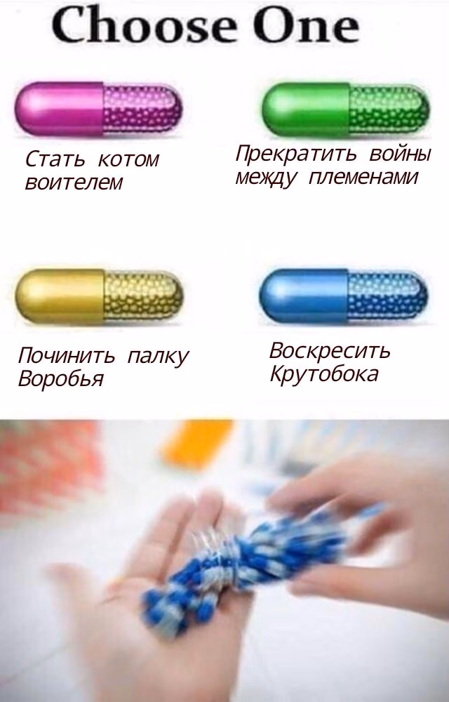 2235c53144356fddc7add05d17be6673.avif