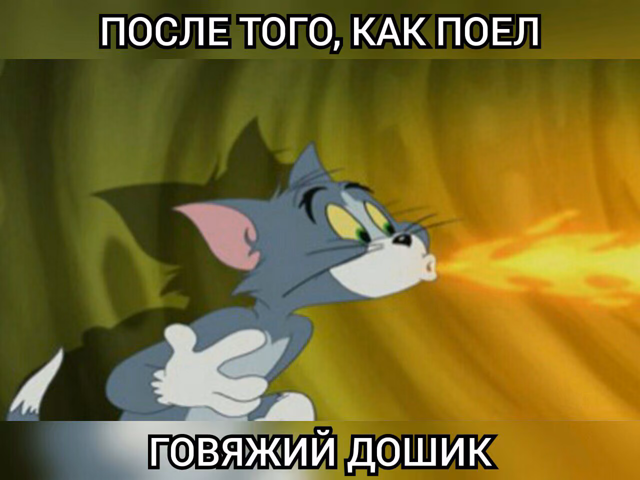 22441237503cce788af794ea7269936f.avif