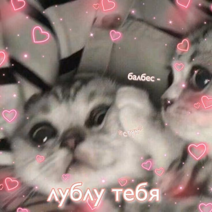 224e101f51e290a0be22f6ce4ee0a494.avif