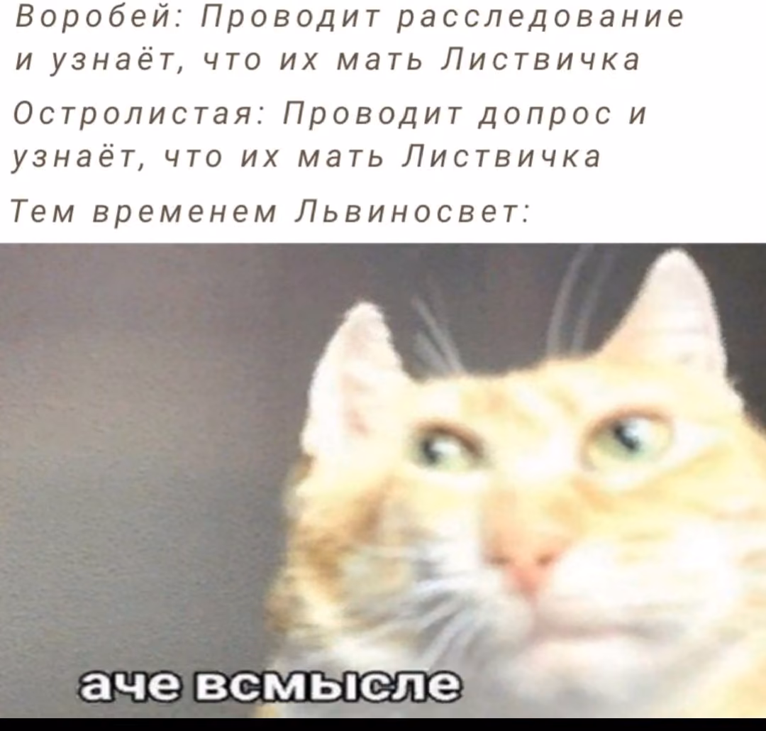 22504be2246bbeed74928a5e5ed6bb20.avif