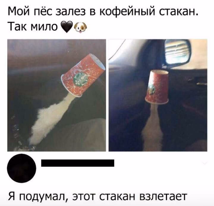 2251dd5a5b0288474d494d6fbaf78d86.avif