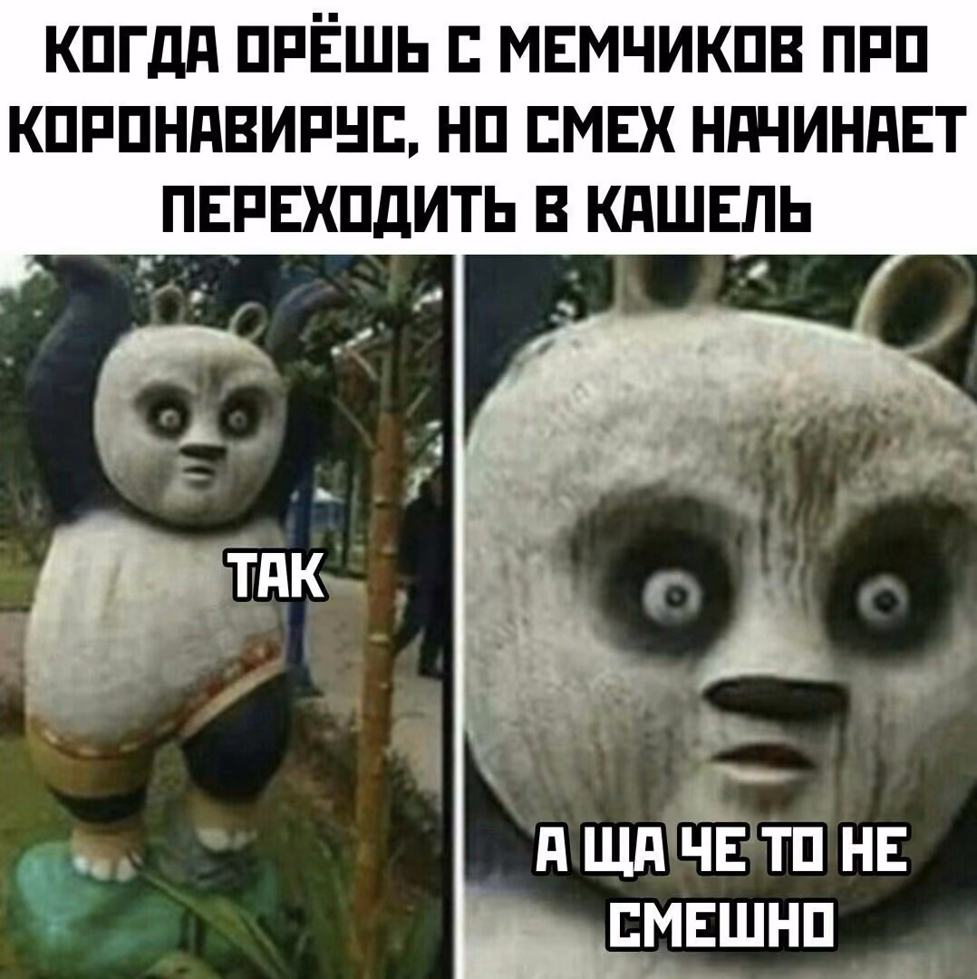 2256859d76c57872385998b354ed4431.jpg