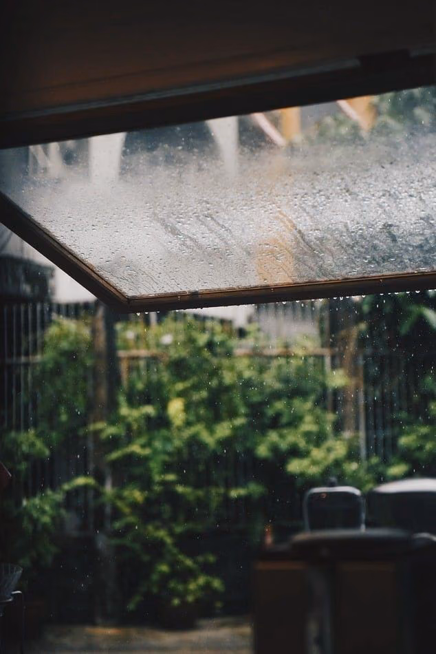 226f56842ec679b181810a8e0d22ac0a.jpg