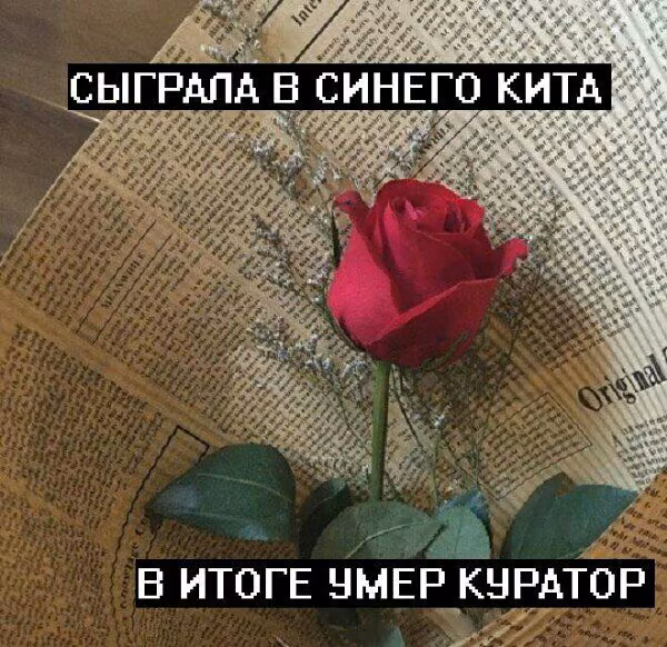2276b67a782793b2c086300c56feab1d.jpg