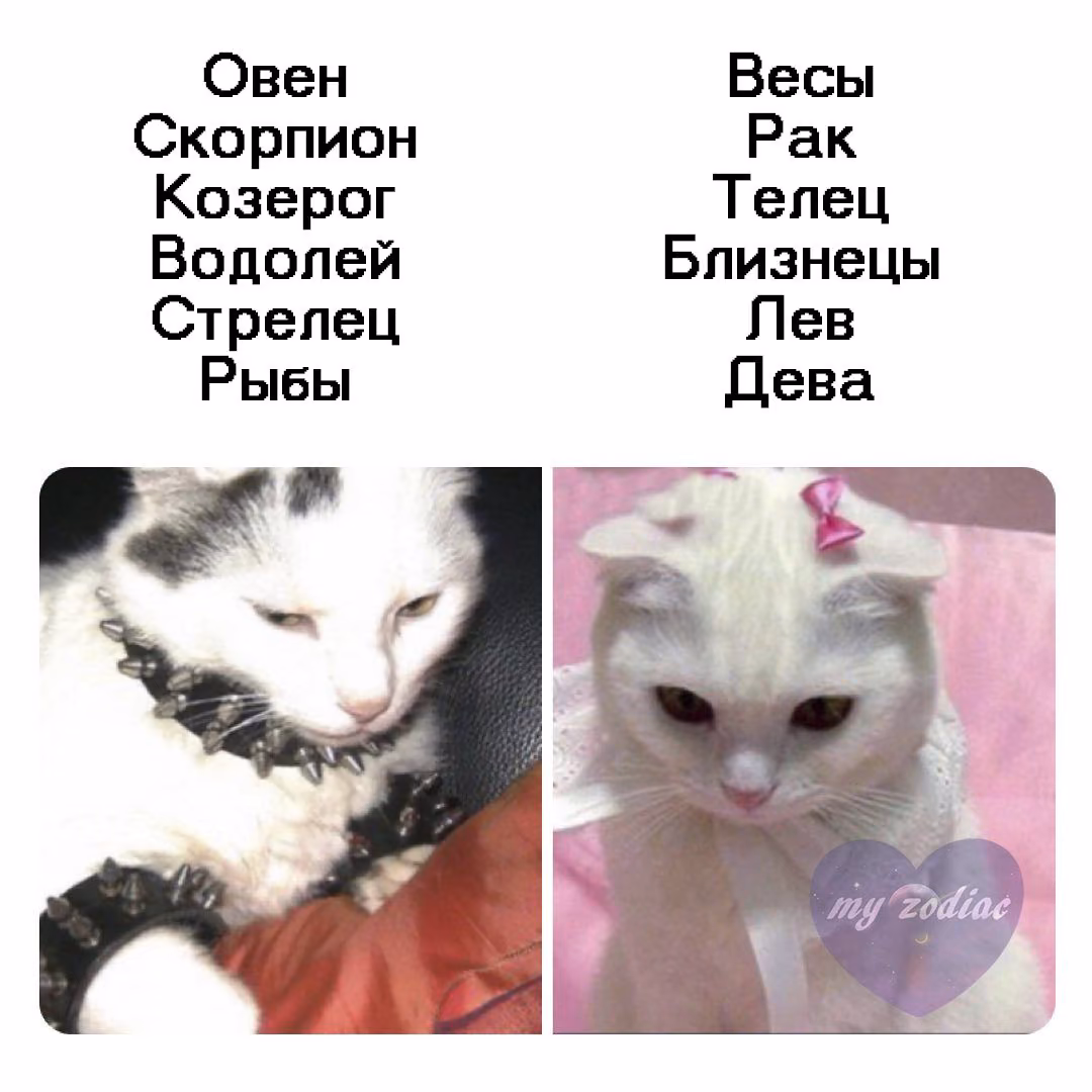 228a8dc70b18177b0ed178269766639a.jpg