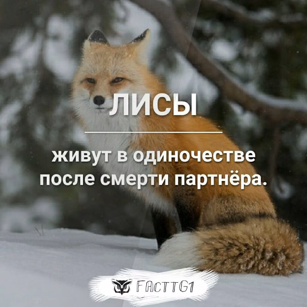 228bfa2575486273ba04d3c0883d09e4.jpg
