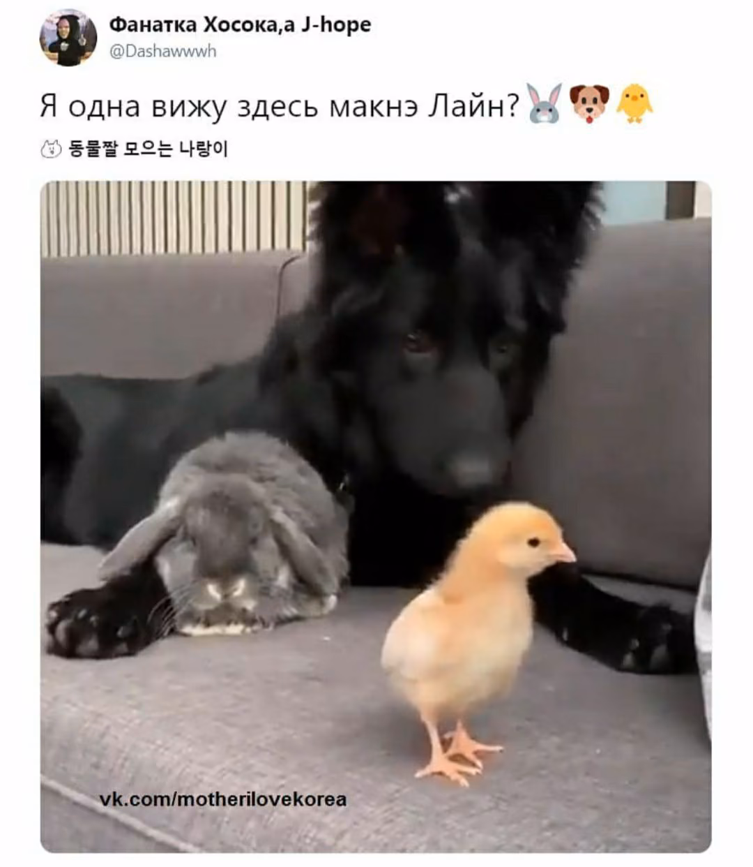 22ae31917449a614f12345d8d5aec9aa.jpg
