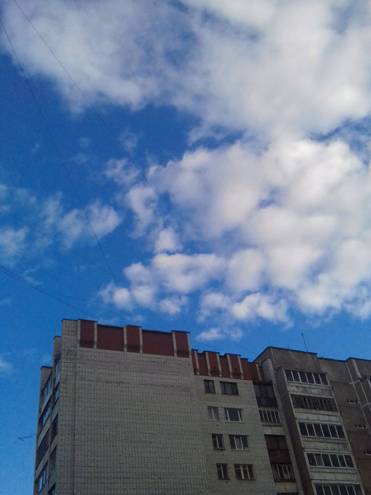 22ca6088694a8f1a09ab39e0b85bd9b8.jpg