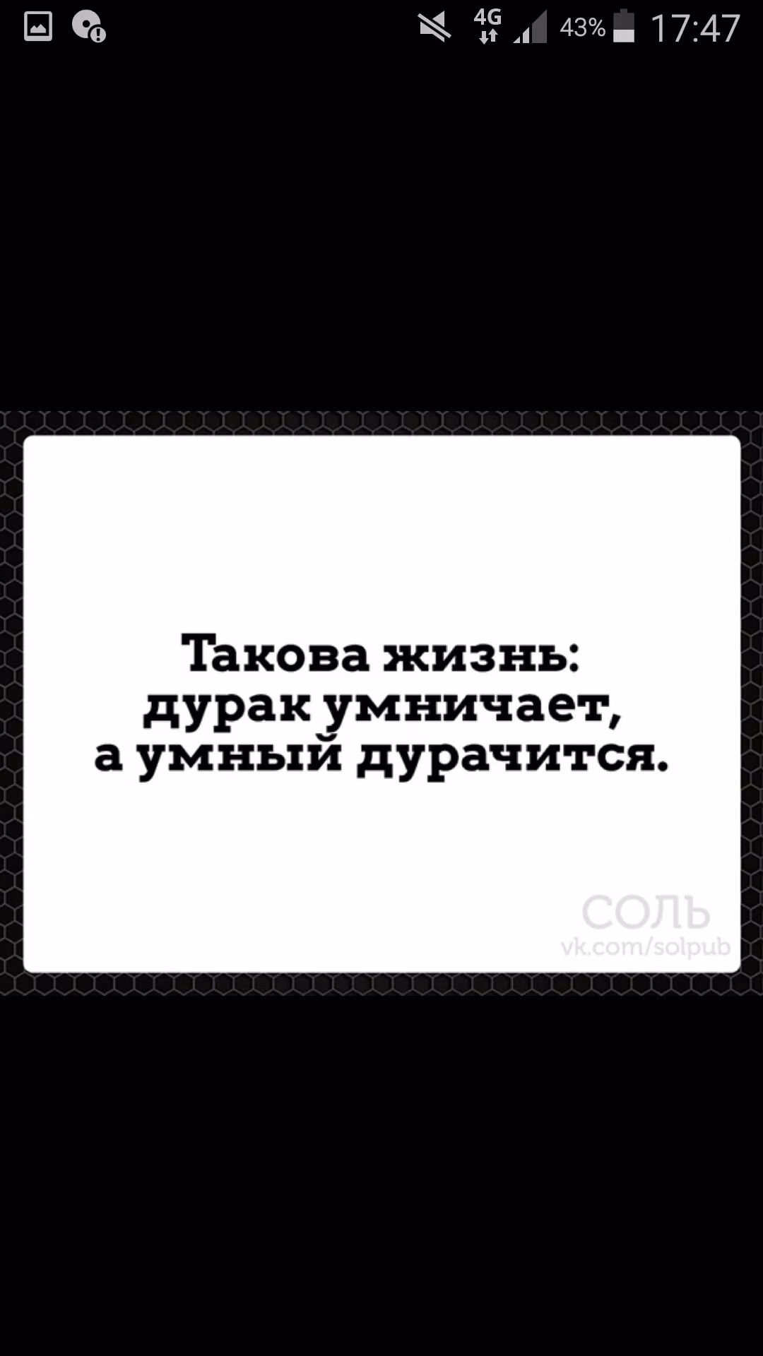 22d4686bada1002576ca449f1babd88f.jpg