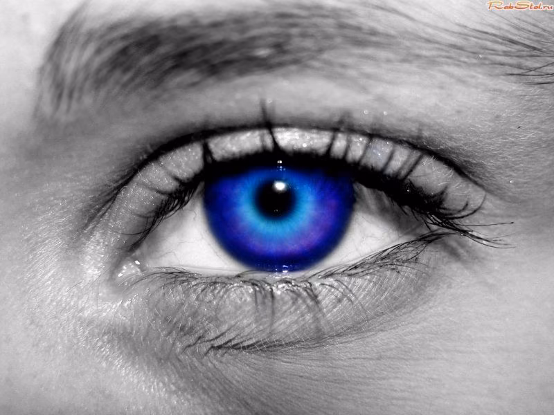 22d5b65c9edd6f88deefade25a3010c8.jpg