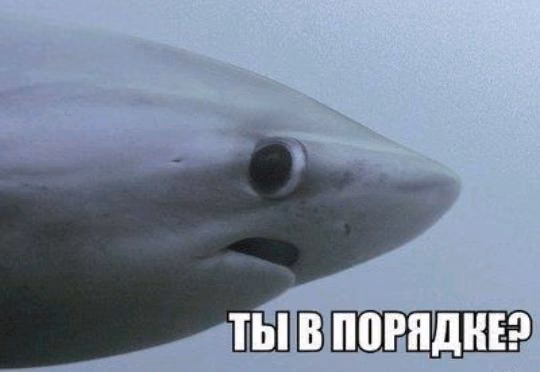 22da9f5f1c1ee969240a2edfc20a3ee2.jpg