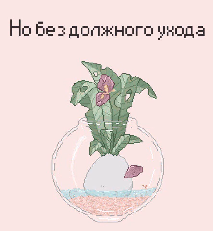 22e715554d73041765099f9552c21e64.jpg