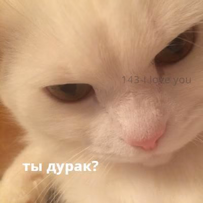 22eae436f262f630115d19cf558de7e1.jpg