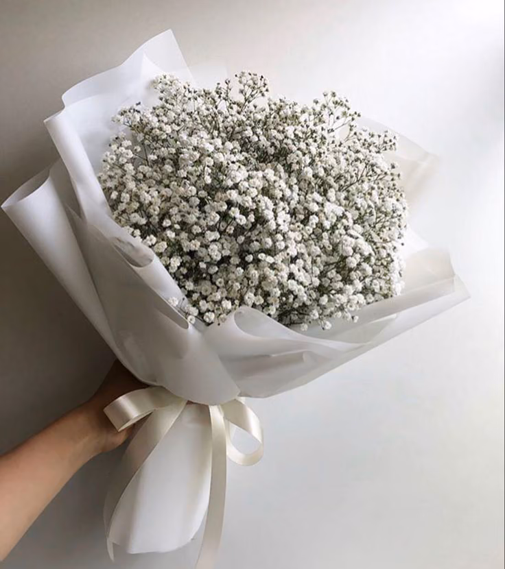 22fdab69c391fb3ae80f0d1700b1f64c.jpg