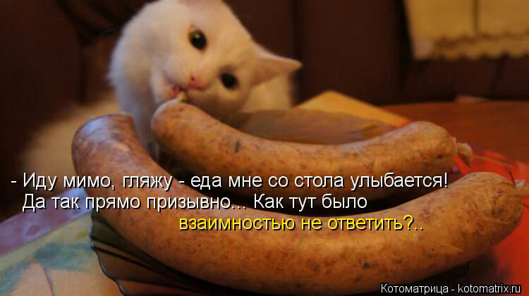 23206fd1c1c3ca89fb319f26052a4207.jpg