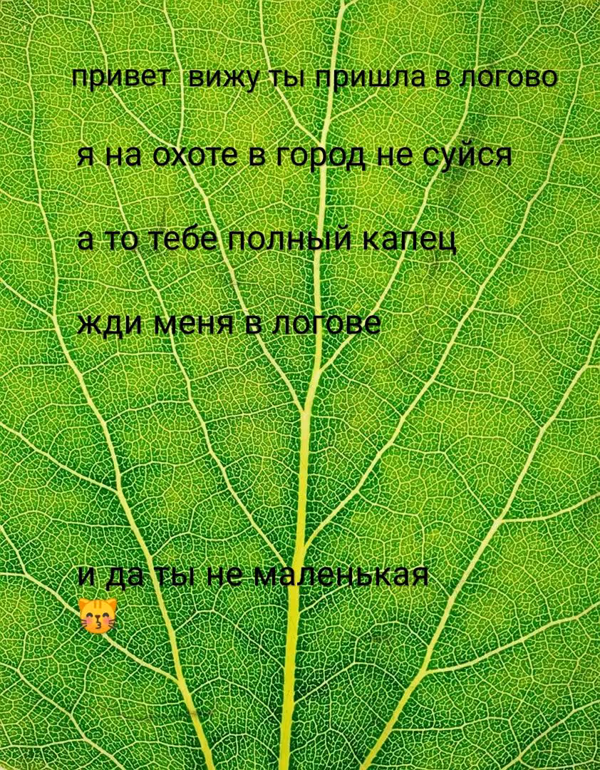 2329bfe4c4b898dc6fc1d9c2bffd4dd8.avif