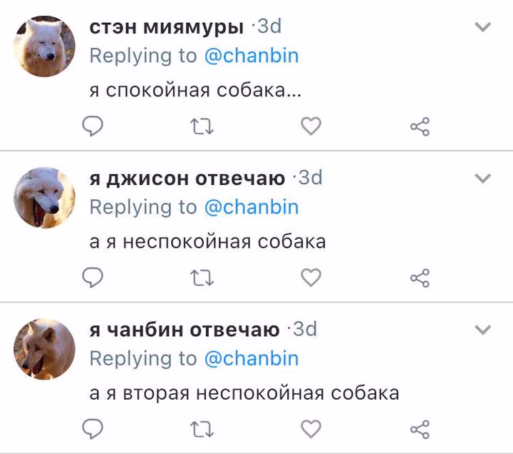 232ae942bb569f0b6849ba7d2a102574.avif