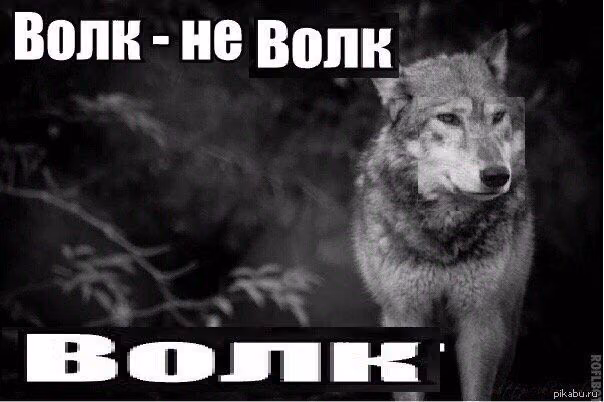 232b2f972b145bf54bf1f0cf634aff4c.avif
