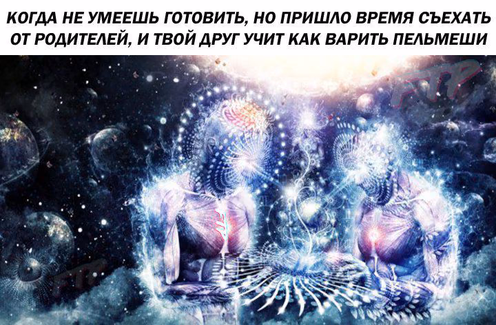 23304e36010d1e4cbb29c3ee2542f344.avif