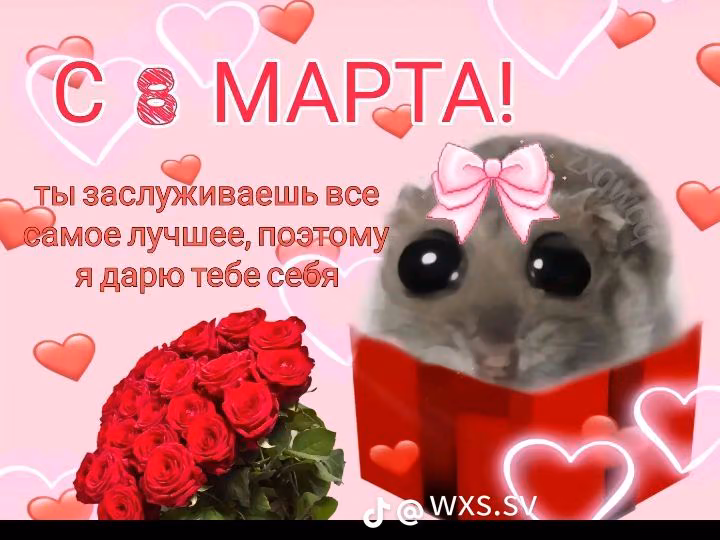 236535fc57fd7ee3cfa39052402ac627.avif