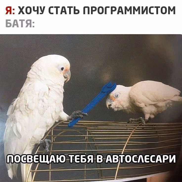 2367b60592180a880c2690610aa8f9d6.avif